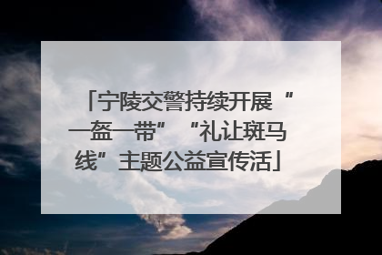 宁陵交警持续开展“一盔一带”“礼让斑马线”主题公益宣传活