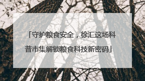 守护粮食安全，徐汇这场科普市集解锁粮食科技新密码
