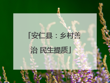 安仁县：乡村善治 民生提质