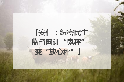 安仁：织密民生监督网让“鬼秤”变“放心秤”