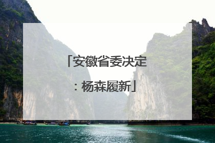 安徽省委决定：杨森履新
