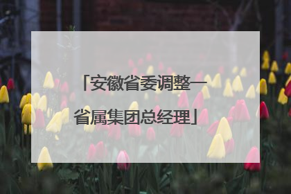 安徽省委调整一省属集团总经理