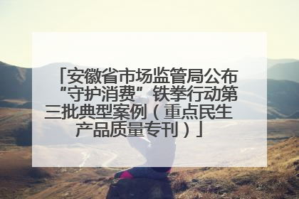 安徽省市场监管局公布“守护消费”铁拳行动第三批典型案例（重点民生产品质量专刊）