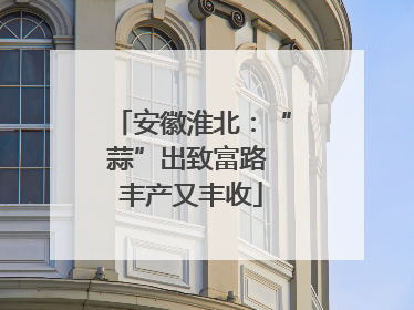 安徽淮北：“蒜”出致富路 丰产又丰收