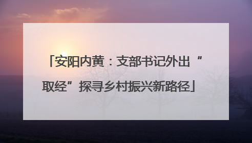 安阳内黄：支部书记外出“取经”探寻乡村振兴新路径