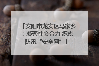 安阳市龙安区马家乡：凝聚社会合力 织密防汛“安全网”