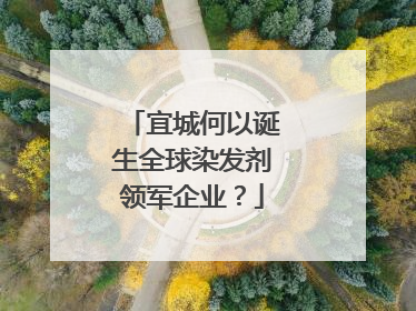 宜城何以诞生全球染发剂领军企业？