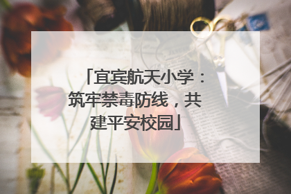 宜宾航天小学：筑牢禁毒防线，共建平安校园