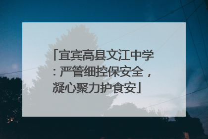 宜宾高县文江中学：严管细控保安全，凝心聚力护食安