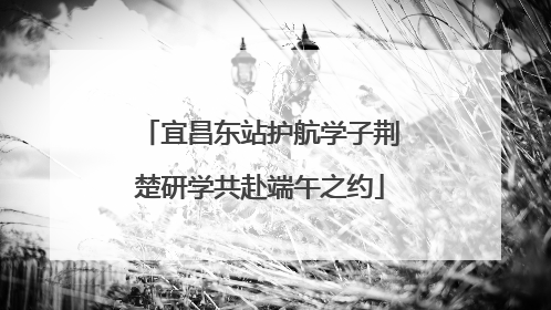 宜昌东站护航学子荆楚研学共赴端午之约