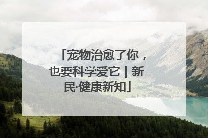宠物治愈了你，也要科学爱它｜新民·健康新知