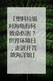 塑料垃圾对海龟有何致命伤害？世界环境日，走进开普敦海洋馆