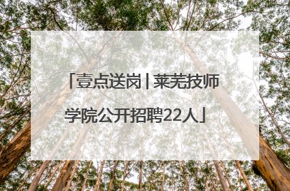 壹点送岗│莱芜技师学院公开招聘22人
