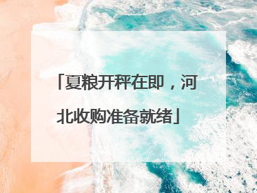 夏粮开秤在即，河北收购准备就绪