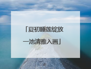 夏初睡莲绽放 一池清雅入画