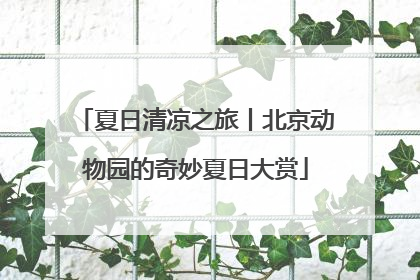 夏日清凉之旅丨北京动物园的奇妙夏日大赏