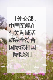 外交部：中国军舰在有关海域活动完全符合国际法和国际惯例
