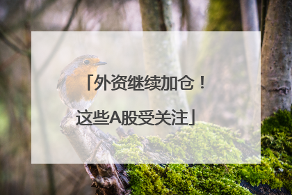 外资继续加仓！这些A股受关注