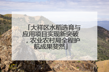 大祥区水稻选育与应用项目实现新突破，农业农村局全程护航成果斐然