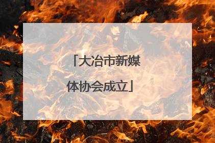 大冶市新媒体协会成立