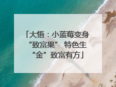 大悟：小蓝莓变身“致富果” 特色生“金”致富有方