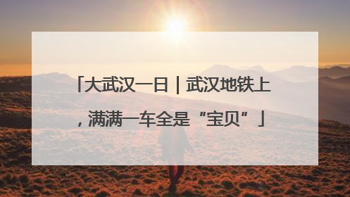 大武汉一日｜武汉地铁上，满满一车全是“宝贝”