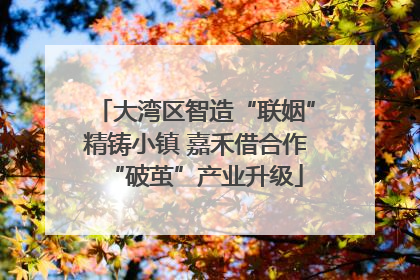 大湾区智造“联姻”精铸小镇 嘉禾借合作“破茧”产业升级
