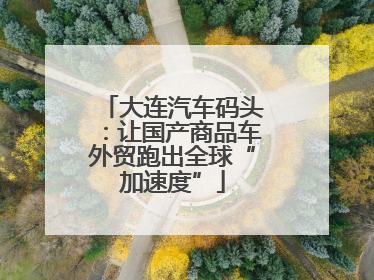大连汽车码头：让国产商品车外贸跑出全球“加速度”