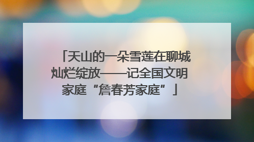 天山的一朵雪莲在聊城灿烂绽放——记全国文明家庭“詹春芳家庭”