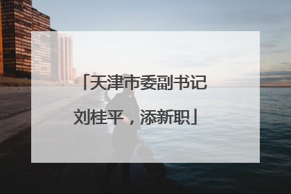 天津市委副书记刘桂平，添新职