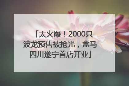 太火爆！2000只波龙预售被抢光，盒马四川遂宁首店开业