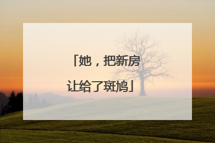 她，把新房让给了斑鸠