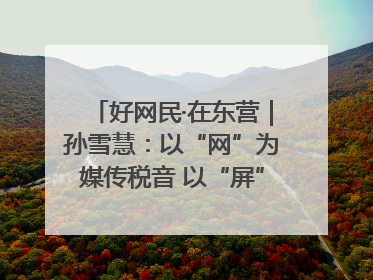 好网民·在东营｜孙雪慧：以“网”为媒传税音 以“屏”为介助发展