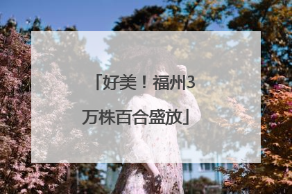 好美！福州3万株百合盛放