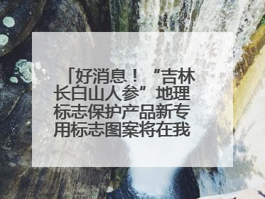 好消息！“吉林长白山人参”地理标志保护产品新专用标志图案将在我省推广使用