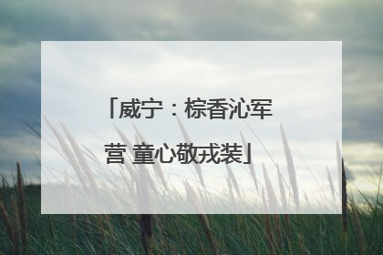 威宁：棕香沁军营 童心敬戎装