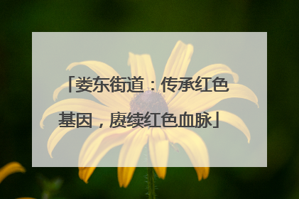 娄东街道：传承红色基因，赓续红色血脉