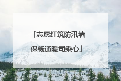 志愿红筑防汛墙 保畅通暖司乘心