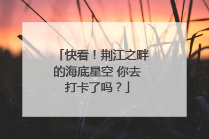 快看！荆江之畔的海底星空 你去打卡了吗？