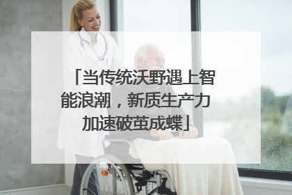 当传统沃野遇上智能浪潮，新质生产力加速破茧成蝶
