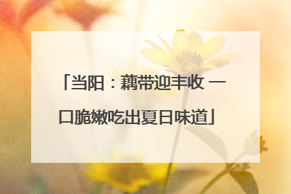 当阳：藕带迎丰收 一口脆嫩吃出夏日味道