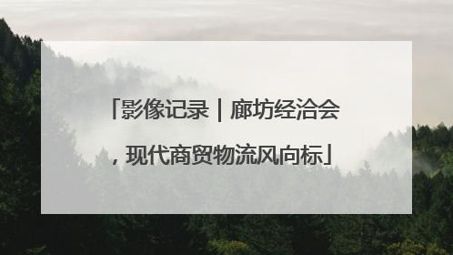 影像记录｜廊坊经洽会，现代商贸物流风向标