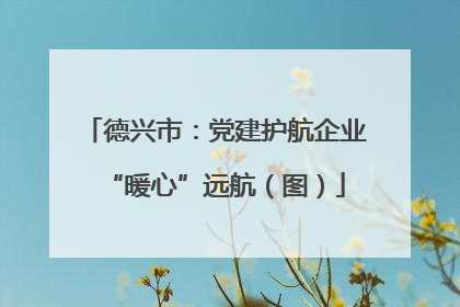 德兴市：党建护航企业“暖心”远航（图）