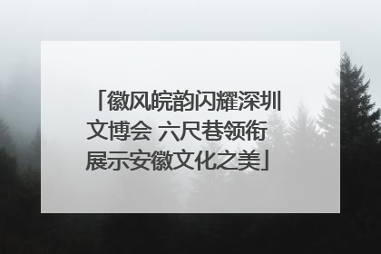 徽风皖韵闪耀深圳文博会 六尺巷领衔展示安徽文化之美