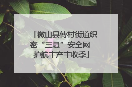 微山县傅村街道织密“三夏”安全网 护航丰产丰收季