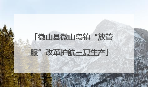 微山县微山岛镇“放管服”改革护航三夏生产