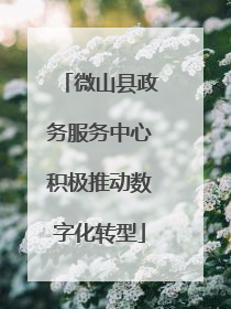 微山县政务服务中心积极推动数字化转型