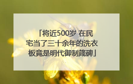 将近500岁 在民宅当了三十余年的洗衣板竟是明代御制箴碑