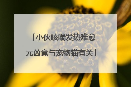 小伙咳喘发热难愈 元凶竟与宠物猫有关