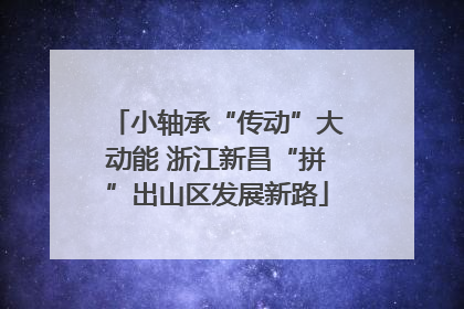 小轴承“传动”大动能 浙江新昌“拼”出山区发展新路